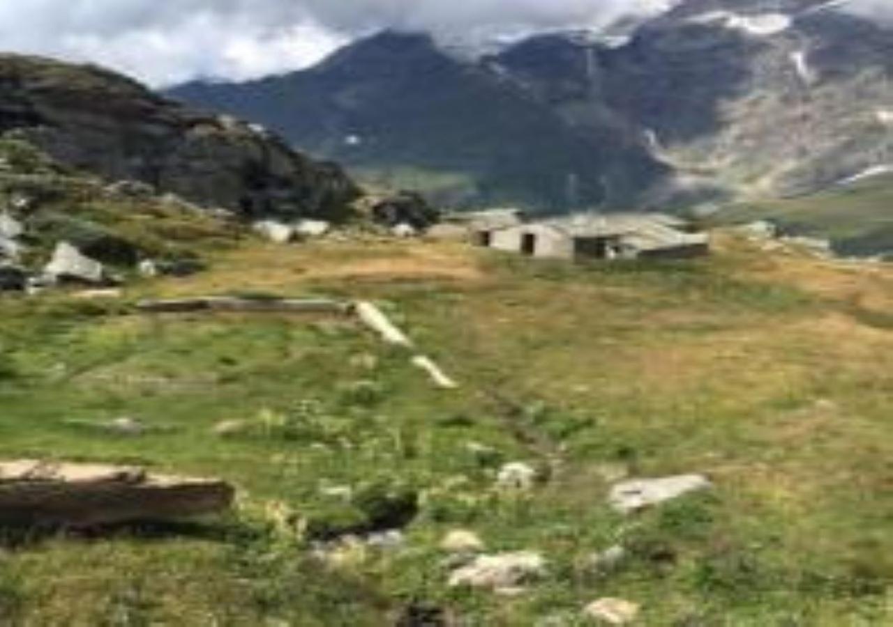 Casa Cervinia Shuss 2 Lejlighed Breuil-Cervinia Eksteriør billede