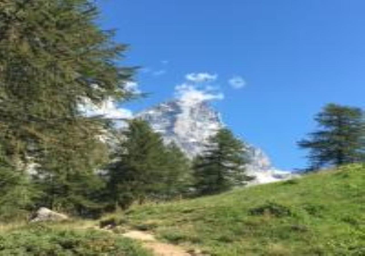 Casa Cervinia Shuss 2 Lejlighed Breuil-Cervinia Eksteriør billede